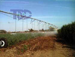Apoyos de Gobierno para Riegos Agricolas
