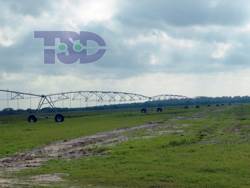 Riego Tecnificado Agricola